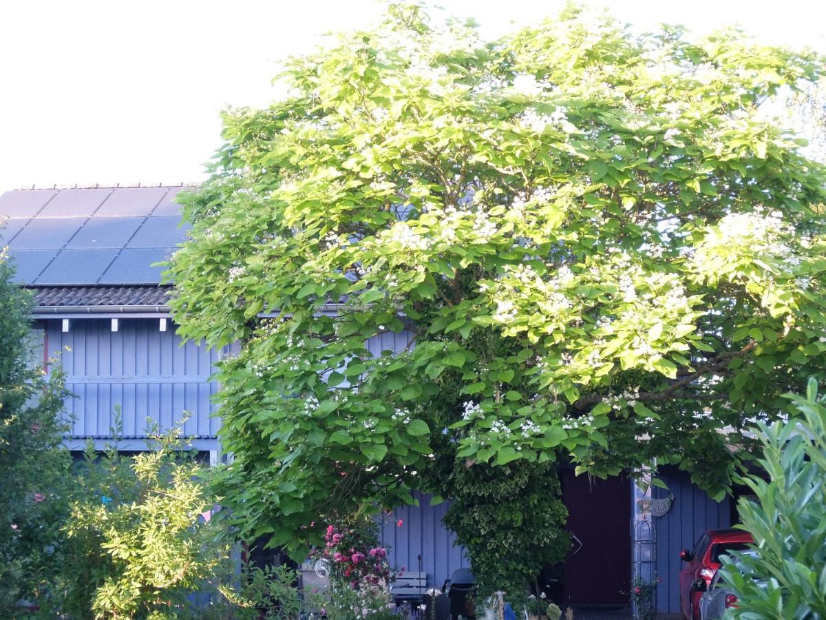 Hetzerath Blaues Haus - Une Maison Bleue מראה חיצוני תמונה